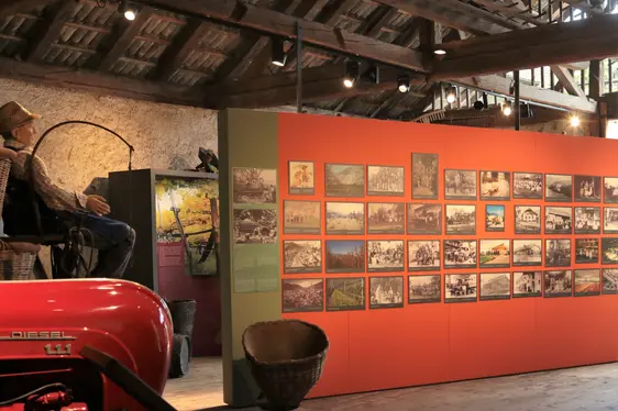 Südtiroler Obstbaumuseum. Foto Simon Alber