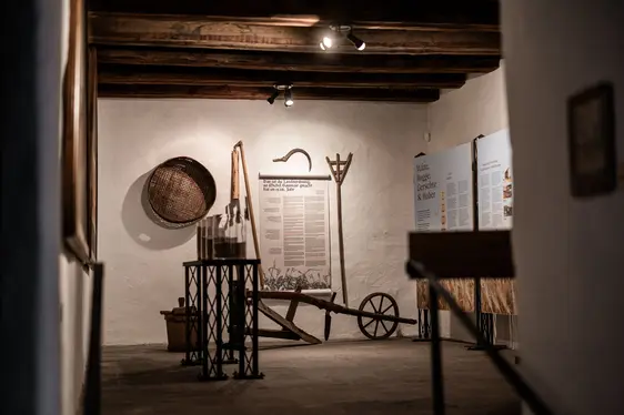 MIK Museo del Capitolo. Foto Armin Huber