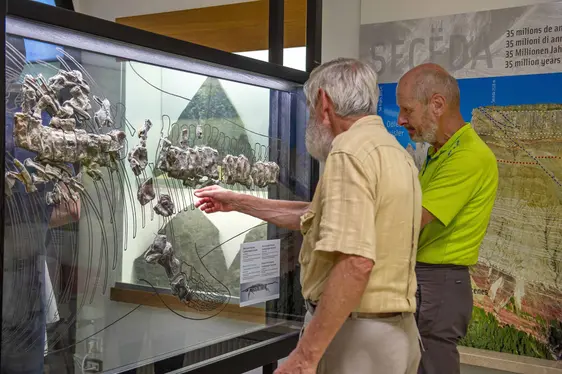 Museum Gherdëina, Fischsaurier der Secëda. Foto Diego Moroder