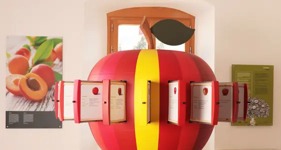 Südtiroler Obstbaumuseum. Foto Simon Alber