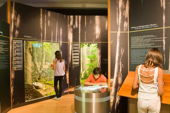 Museo di scienze naturali, mostra permanente. Foto Stefano Scatà
