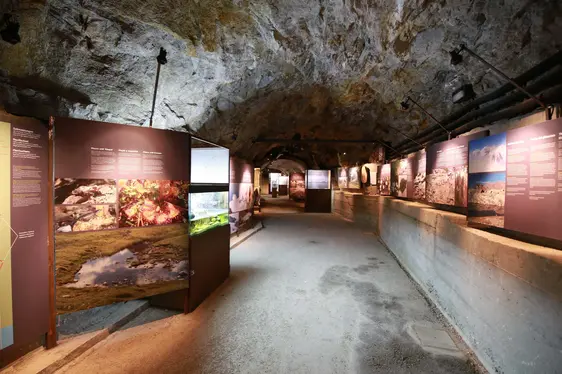 Bunker Mooseum, Ausstellungsparcours im Stollen. Foto MuseumHinterPasseier