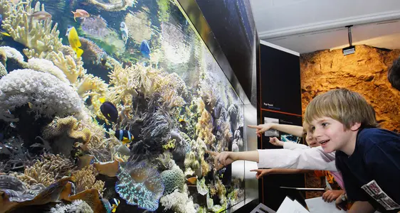 Museo di scienze naturali, acquario. Foto Seehauser