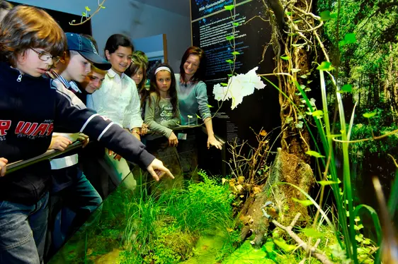 Museo di scienze naturali, visita guidata. Foto Seehauser