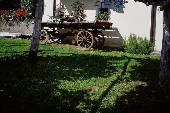Museo provinciale del vino, vigneto. Foto Museo provinciale del vino