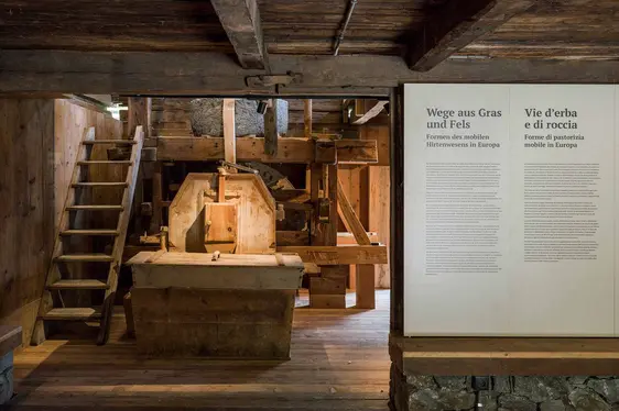 campus transhumanza ©archeoParc Schnalstal, Foto Ganesh Neumair