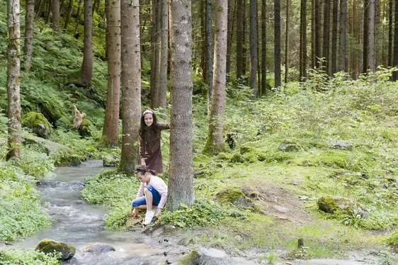 Castel Wolfsthurn, sentiero tematico Bosco e acqua. Foto Stefano Scatà