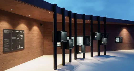 Fossilia. Foto Martin Riegler - areum architecture