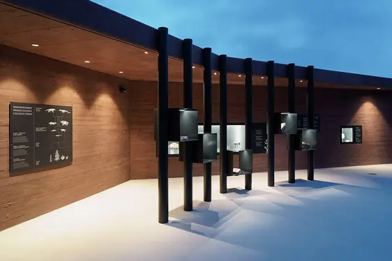 Fossilia. Foto Martin Riegler - areum architecture