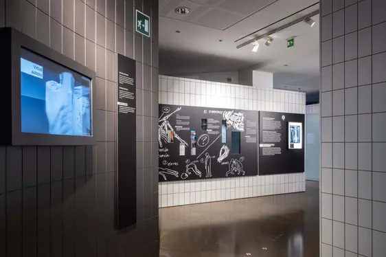 Südtiroler Archäologiemuseum, Dauerausstellung. Foto SILBERSALZ.photo