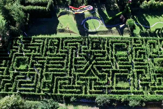 Irrgarten. Foto Kränzelhof