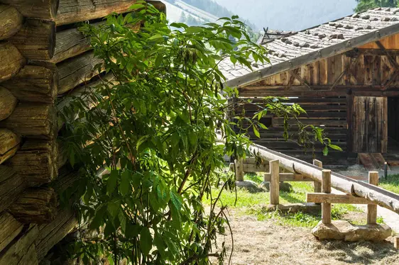 campus transhumanza ©archeoParc Schnalstal, Foto Ganesh Neumair