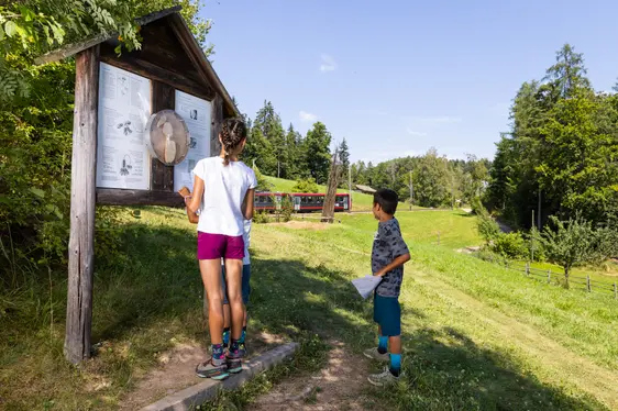 Imkereimuseum Plattner Bienenhof. Foto Imkereimuseum