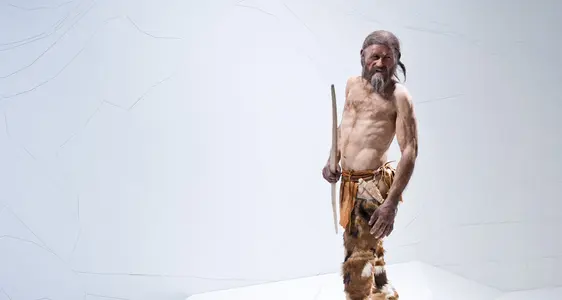 Südtiroler Archäologiemuseum, Ötzis Rekonstruktion. Foto dpi.com
