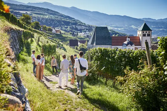 Weinbergführung. Foto Andreas Tauber