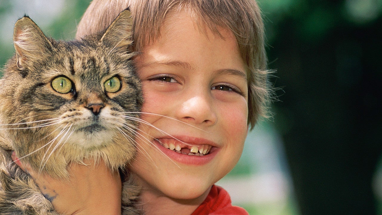 Boy missing a tooth holding an irritated looking cat. 