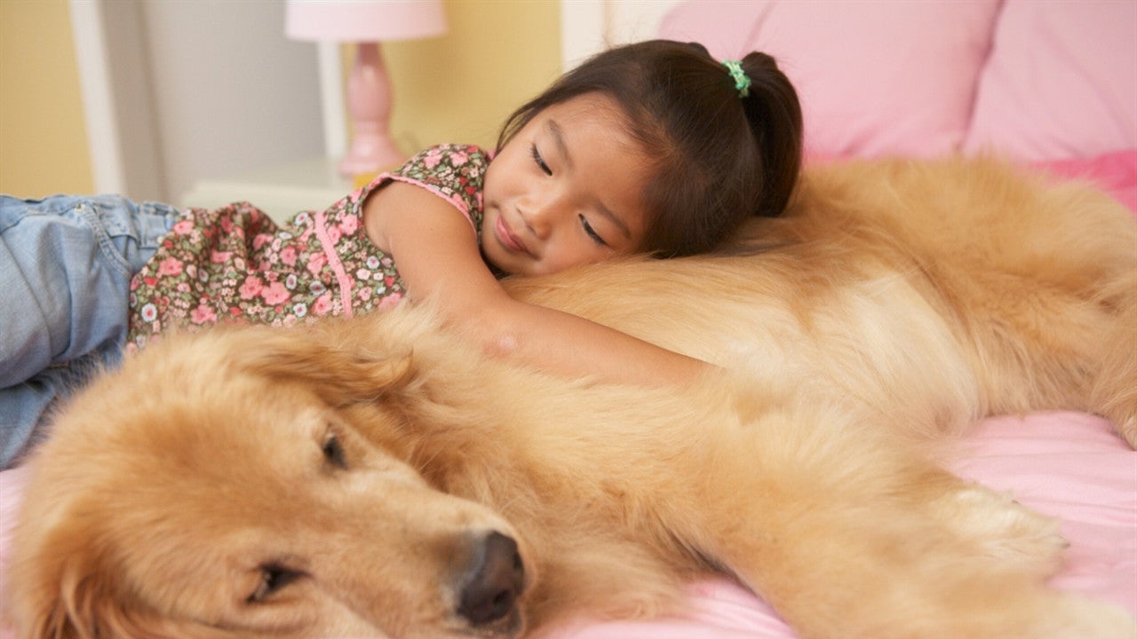Little girl using big dog as pillow.