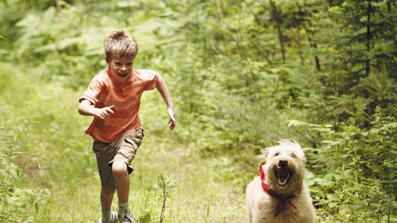 Boy and his dog in the woods running. 