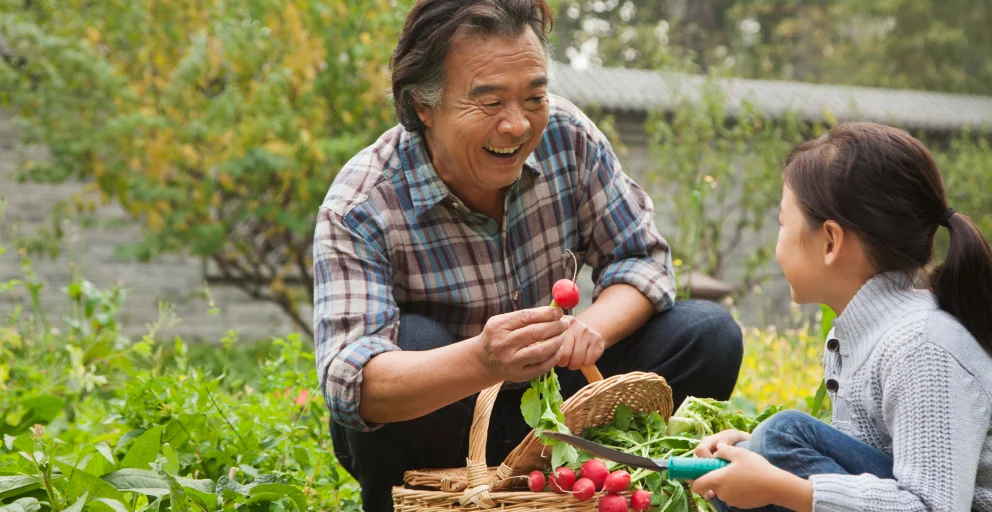 What is Life Insurance?