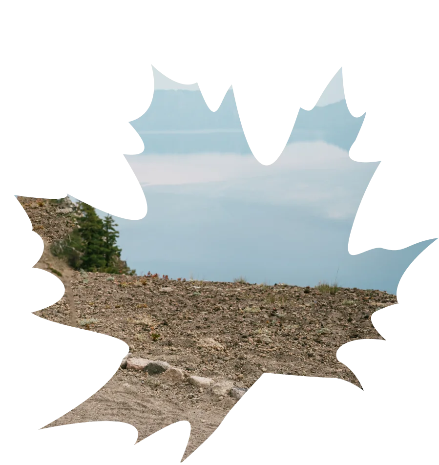 Banner Background