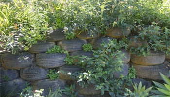 A wall of tyres with plants in them