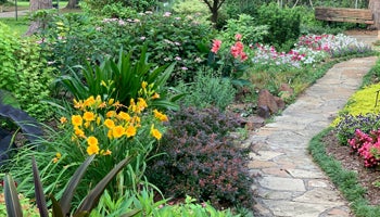Pretty garden with brightly coloured flowers and a pathway running through it