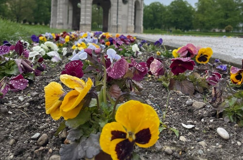 Schüleraustausch mit Partnerschule in München. Foto: FS Tisens Schüleraustausch mit Partnerschule in München. Foto: FS Tisens