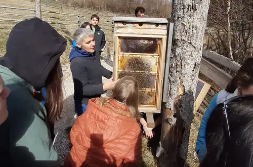 Talente und Neigungen: Bienenlehrpfad Gfrill. Foto: FS Tisens Talente und Neigungen: Bienenlehrpfad Gfrill. Foto: FS Tisens