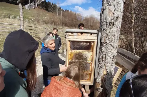 Talente und Neigungen: Bienenlehrpfad Gfrill. Foto: FS Tisens Talente und Neigungen: Bienenlehrpfad Gfrill. Foto: FS Tisens