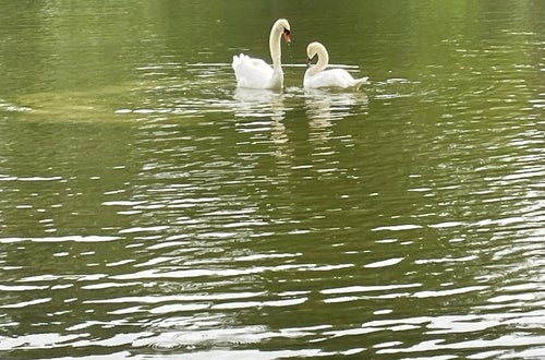 Schüleraustausch mit Partnerschule in München. Foto: FS Tisens Schüleraustausch mit Partnerschule in München. Foto: FS Tisens