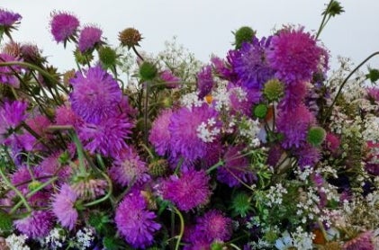 Wiesenblumen auf Heuballen. Foto: FS Tisens Wiesenblumen auf Heuballen. Foto: FS Tisens
