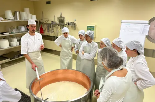 Käseherstellung in der Fürstenburg. Fotos: FS Tisens Käseherstellung in der Fürstenburg. Fotos: FS Tisens