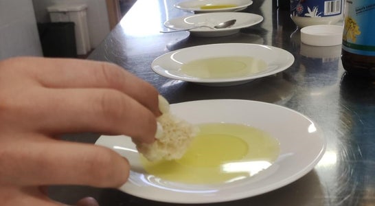 Geschmacksschulung Speiseöle im Fach Ernährungslehre Geschmacksschulung Speiseöle im Fach Ernährungslehre