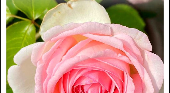 Weiterbildungsbroschüre 2022-2023 Weiterbildungsbroschüre 2022-2023