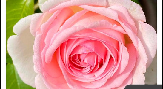 Weiterbildungsbroschüre 2022-2023 Weiterbildungsbroschüre 2022-2023