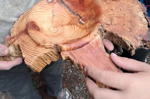 Besuch beim Drechsler Foto: FS Tisens Besuch beim Drechsler Foto: FS Tisens