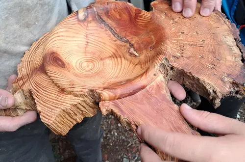 Besuch beim Drechsler Foto: FS Tisens Besuch beim Drechsler Foto: FS Tisens