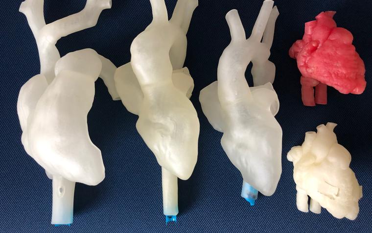 Die 3D-gedruckten Herzmodelle des LMU-Klinikums