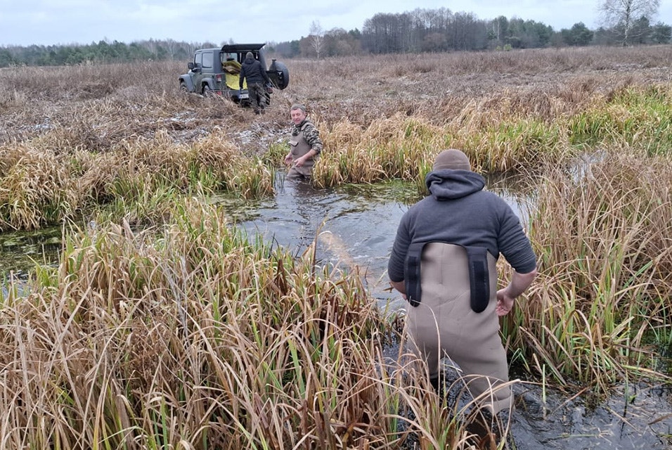 Two men are working in the Drevlyanskyi nature reserve. They are placing a log in the water. Green and brown foliage surrounds them and a 4x4 vehicle is in the background with a man taking out tools.