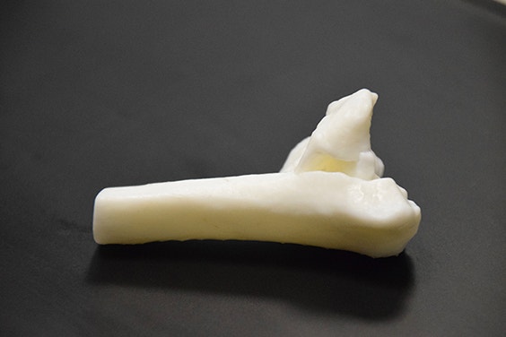 Close-up of a 3D-printed bone model 
