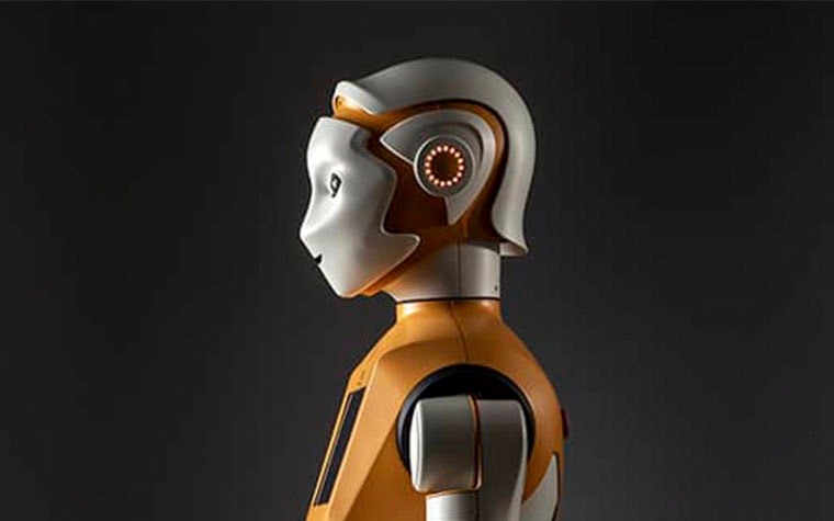 Full profile shot of the humanoid robot ARI 