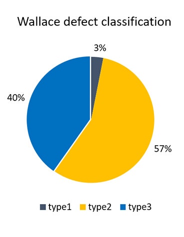 Pie chart showing the percentage of Wallace defect classifications: 3% type 1, 57% type 2, 40% type 3