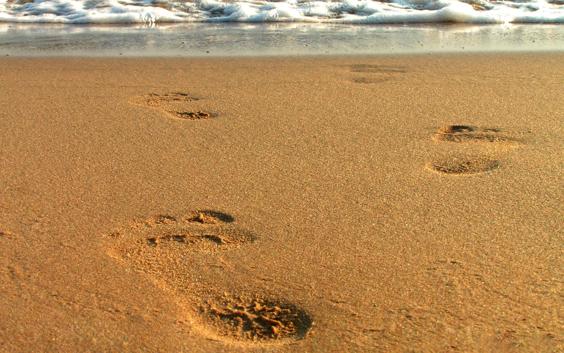 Footprints on a sandy beach leading to a calm, foamy sea.