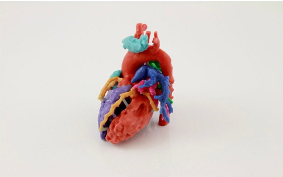 Colorful, 3D-printed heart model