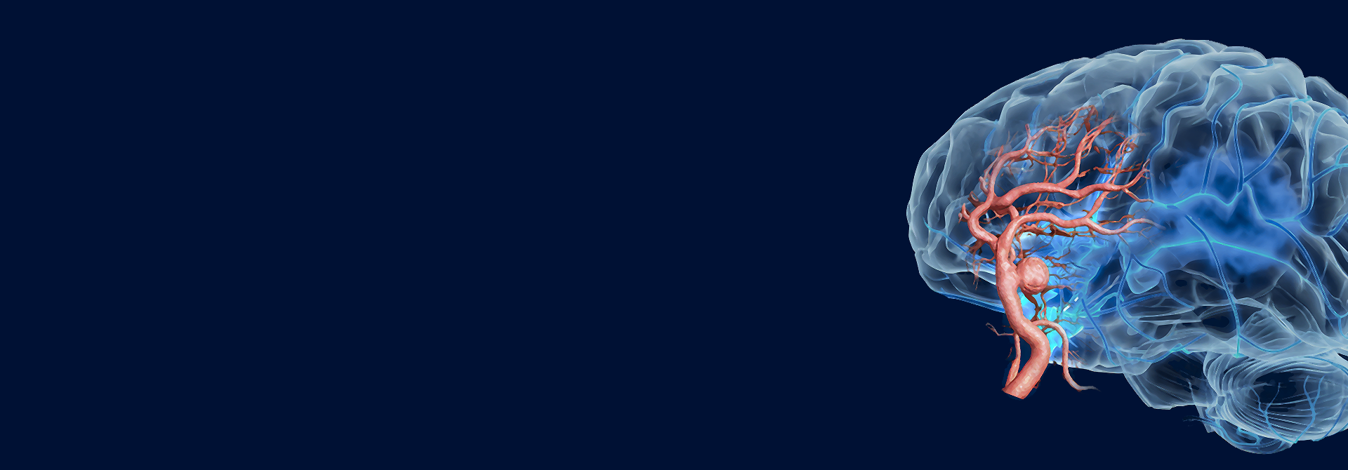 A semi-transparent 3D rendering of a human brain with highlighted blood vessels on a dark blue background.