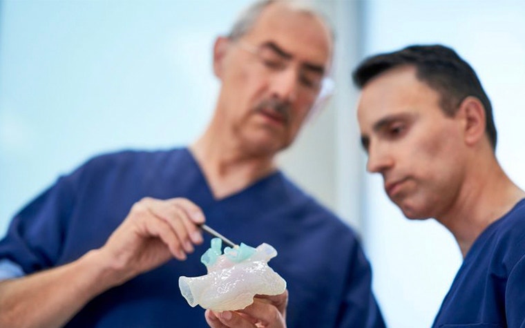 Two surgeons discuss a 3D-printed cardiac anatomical model 