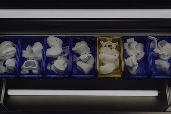 3D printed anatomical models on a shelf 
