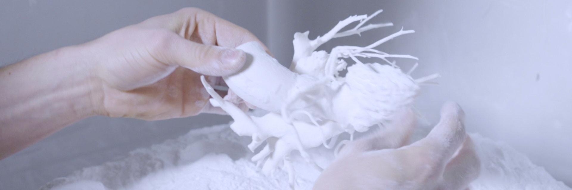 Person taking cardiac 3D-printed anatomical model out of 3D printing powder 