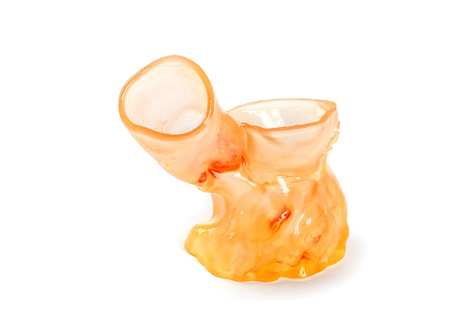 Semi-transparent 3D-printed anatomical model in a light orange color
