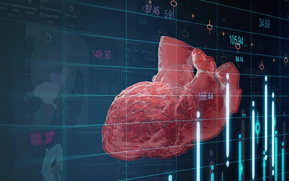 computer-generated image of human heart with measurements and numbers 